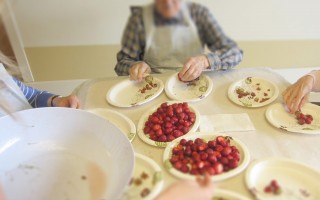 Équeutage de fraises