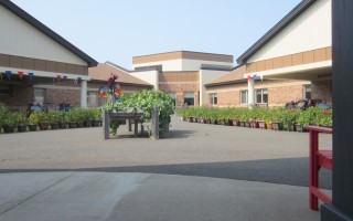 Jardins de tomates et parc
