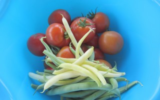 La récolte du jardin