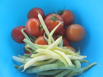 La récolte du jardin